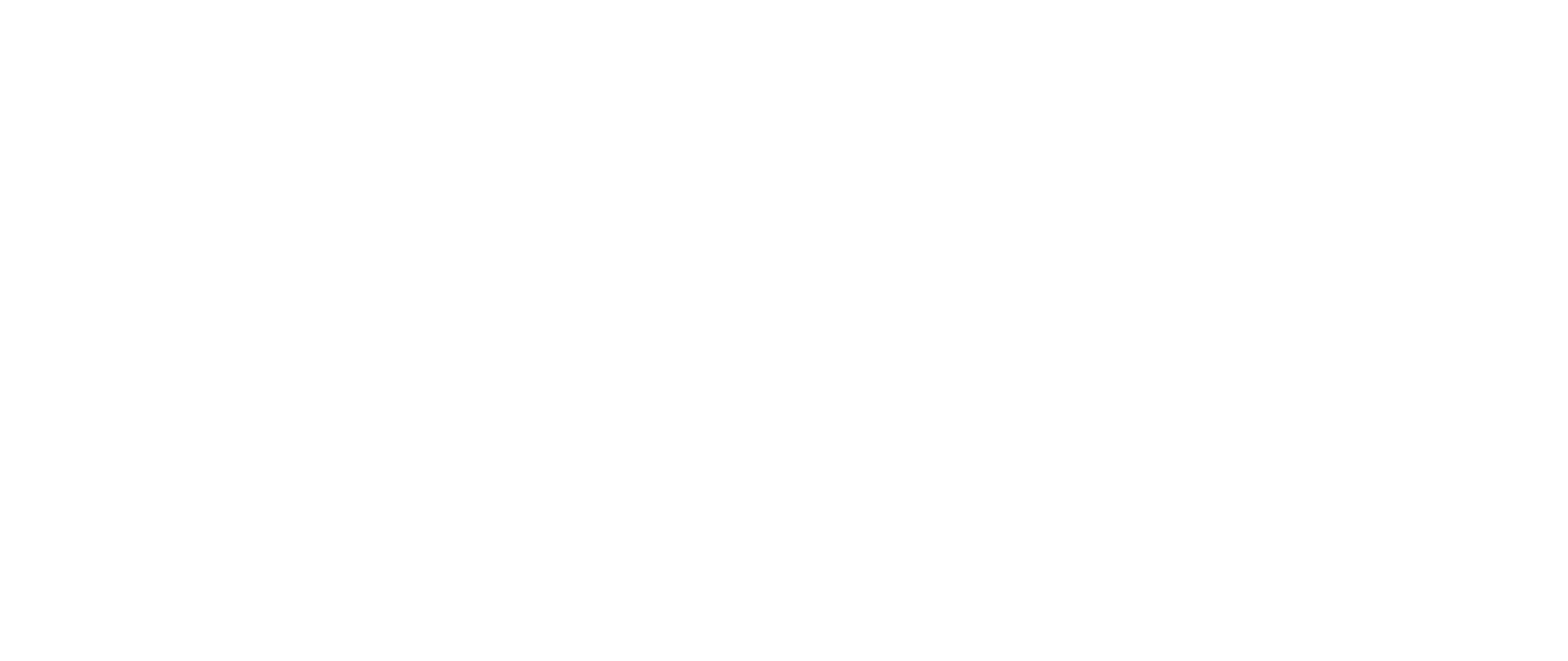 cxo logo white